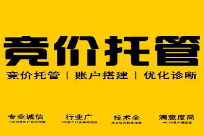 案例解析：SEM竞价专员成功案例